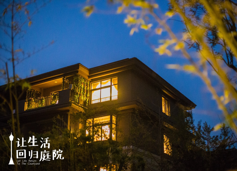 前后张望南阳50年：：这样的庭院，，很难再有了！！