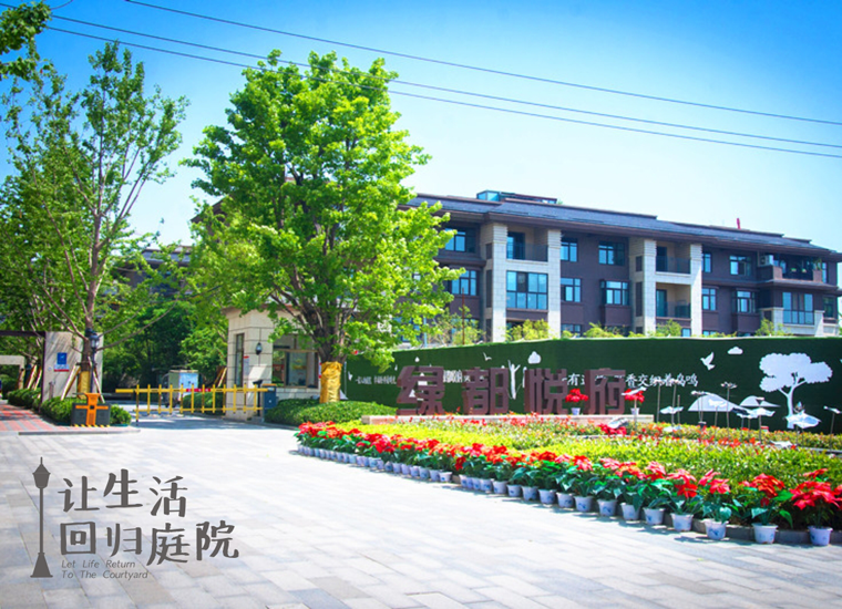 前后张望南阳50年：：这样的庭院，，很难再有了！！