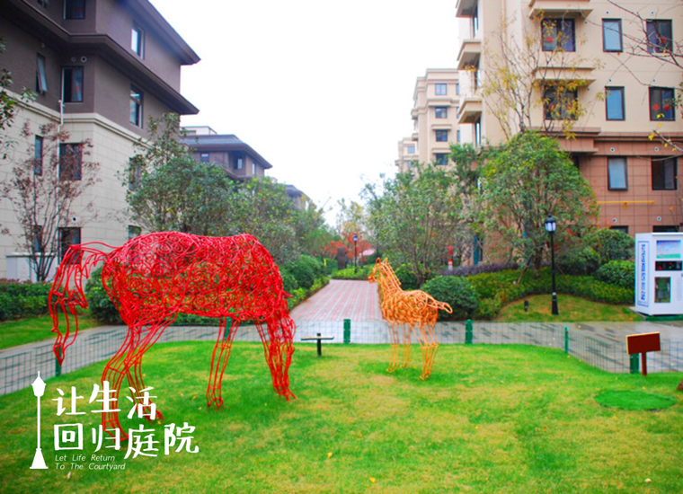 前后张望南阳50年：：这样的庭院，，很难再有了！！