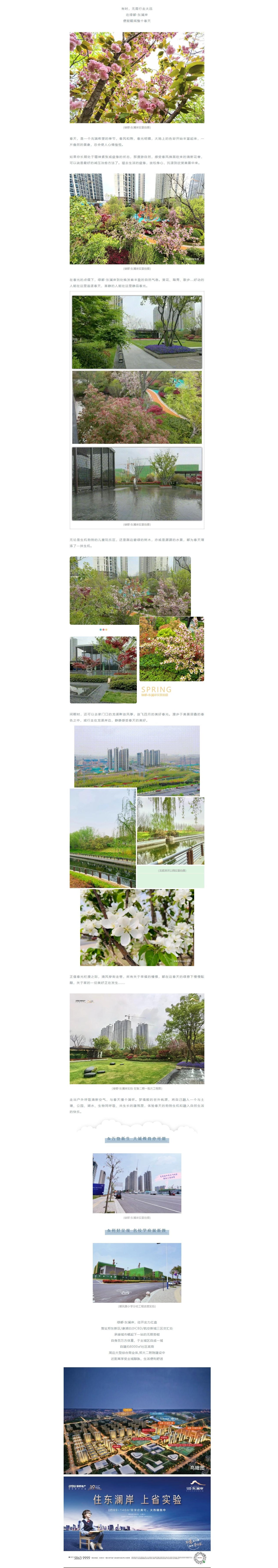 赏花踏青，来一场和春天的约会