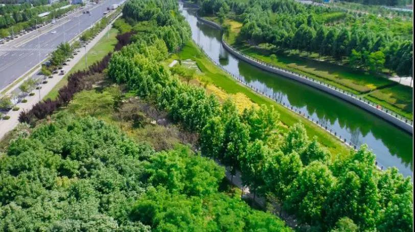 定了！！！“神兽”线上开学，，，家里有学生的必看！！！