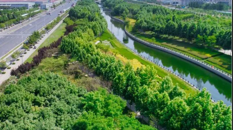 8#楼王加推在即 | 经开顶流热盘，，这一次万万别错过！